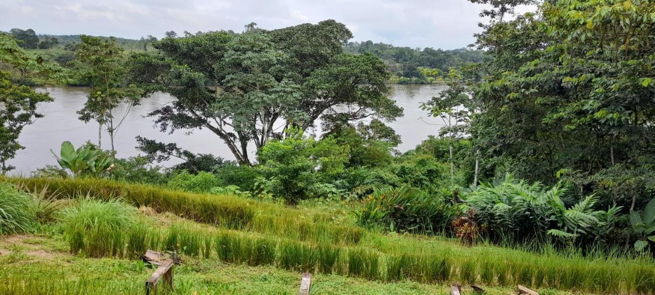 La Mariola - Finca Agroecologica El Castillo de La Concepción Buitenkant foto