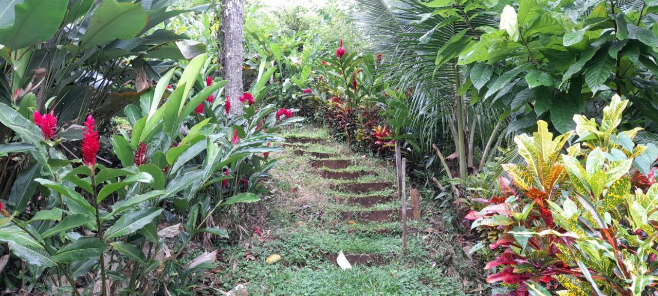 La Mariola - Finca Agroecologica El Castillo de La Concepción Buitenkant foto