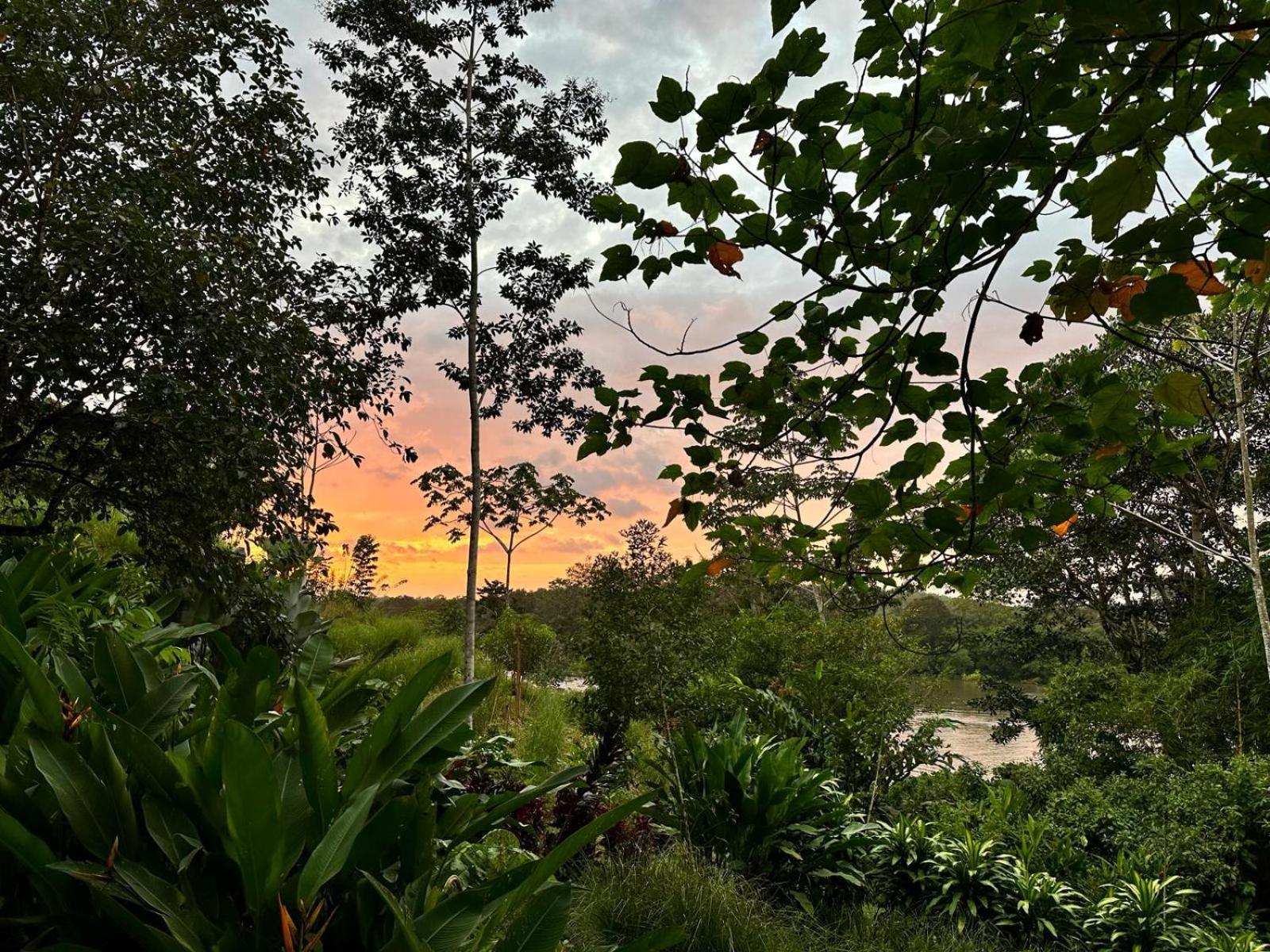 La Mariola - Finca Agroecologica El Castillo de La Concepción Buitenkant foto