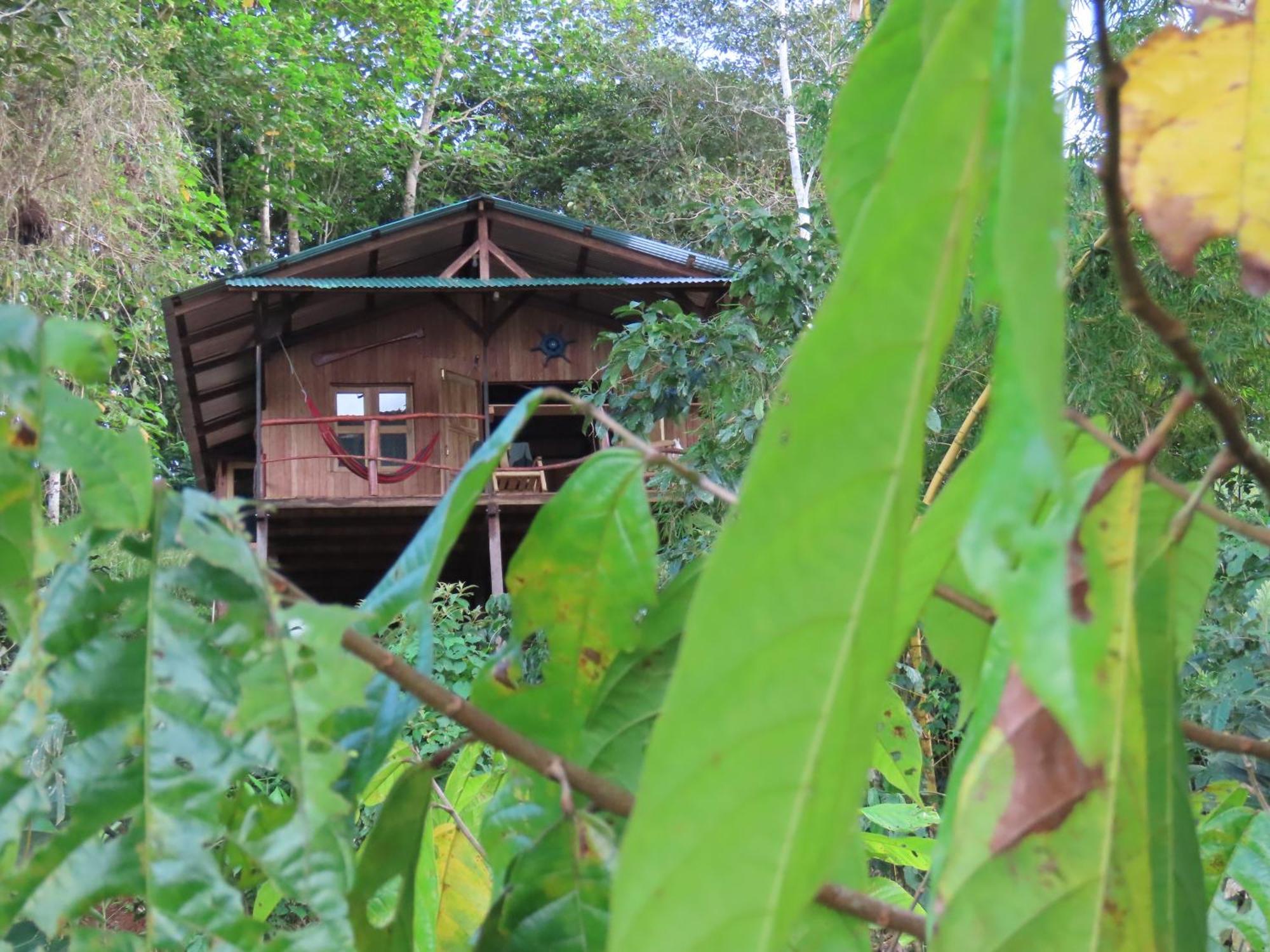 La Mariola - Finca Agroecologica El Castillo de La Concepción Buitenkant foto